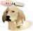 Pet Grooming & Boarding